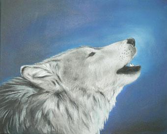 SAUVONS LES LOUPS !!!!!